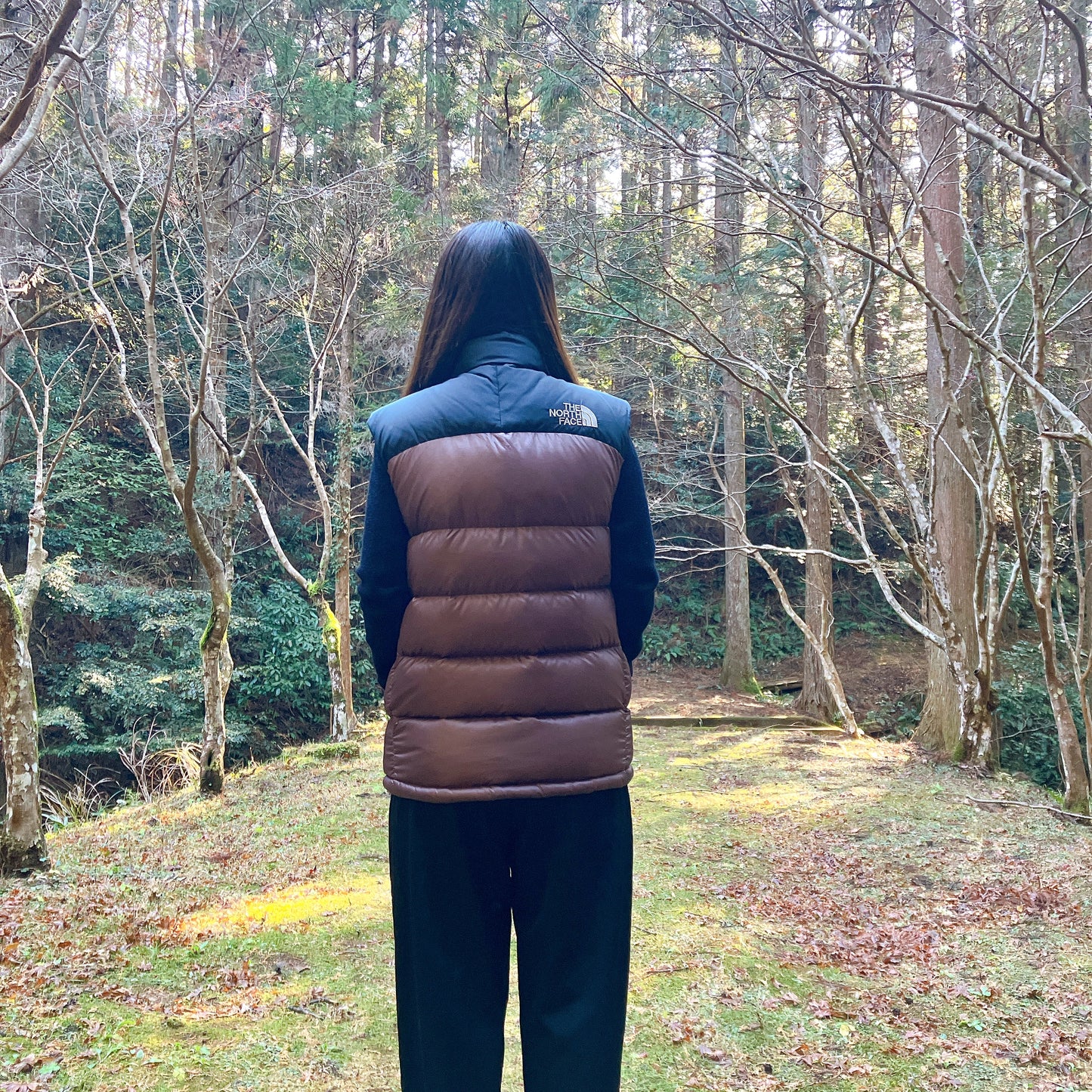 THE NORTH FACE NUPTSE ザノースフェイス ヌプシ ダウンベスト 700フィル