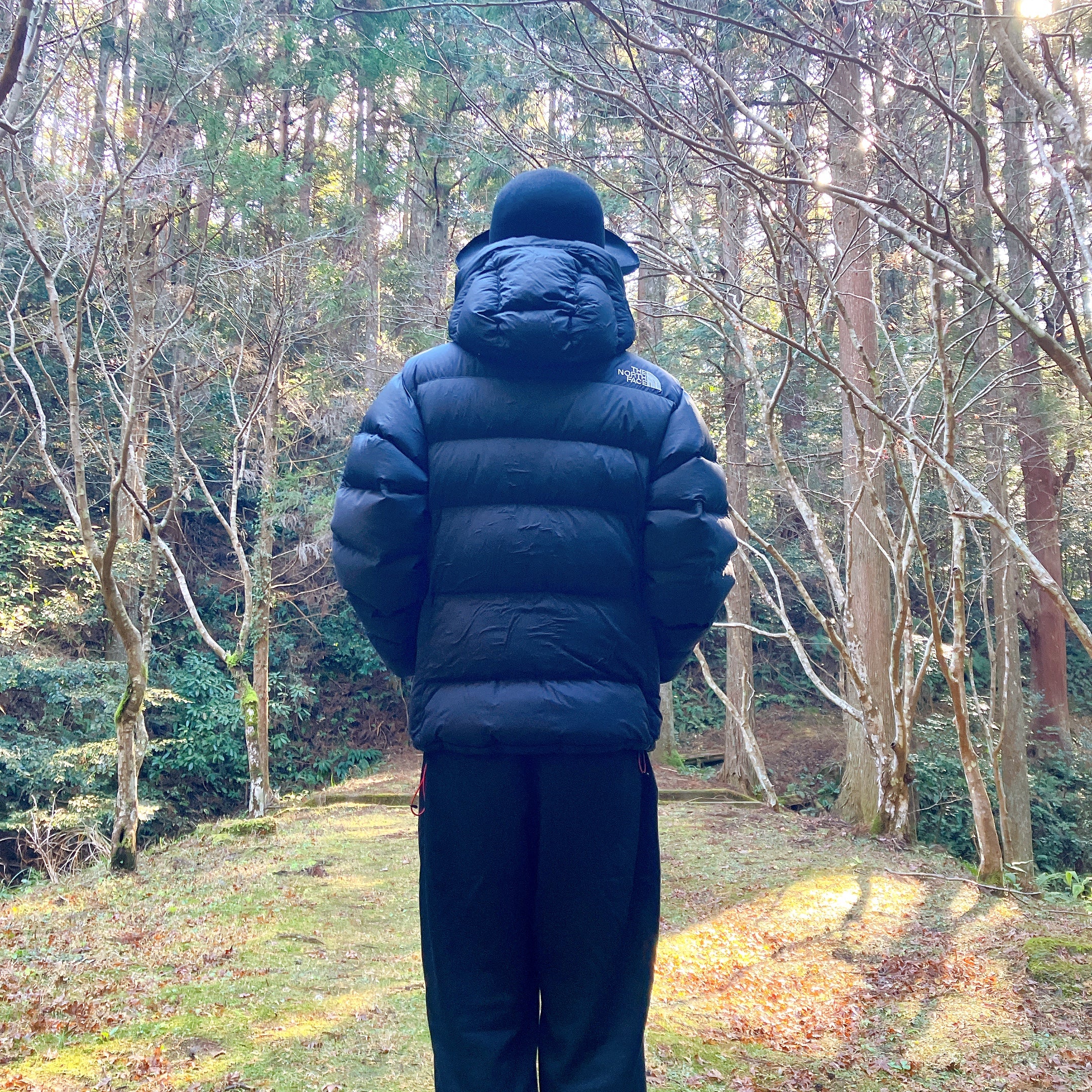 THE NORTH FACE ザノースフェイス サミット シリーズ 800フィル